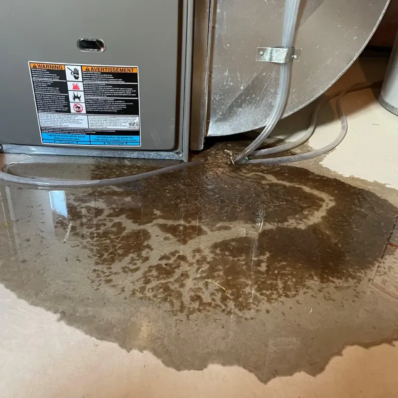 Appliance Leak Cleanup in Lake Norman of Catawba, NC